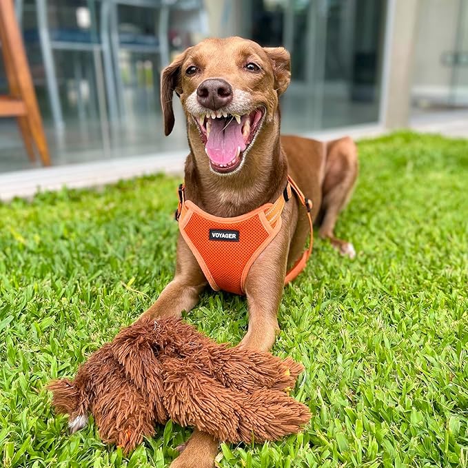Best Pet Supplies Voyager Adjustable Step-in Flex Breathable Mesh Dog Harness for Small Medium Large Dogs (Orange), S