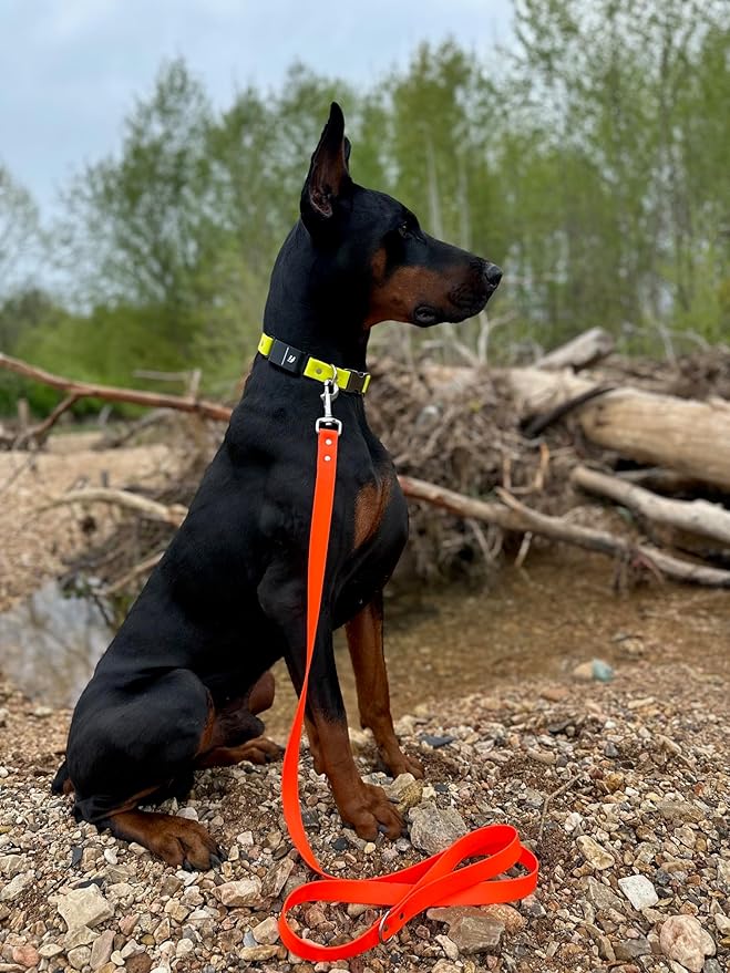 6ft Long Leash for Dogs - 1000lb Strength, Waterproof with Stainless Steel Hardware, Durable Long Dog Leash for Large Breeds