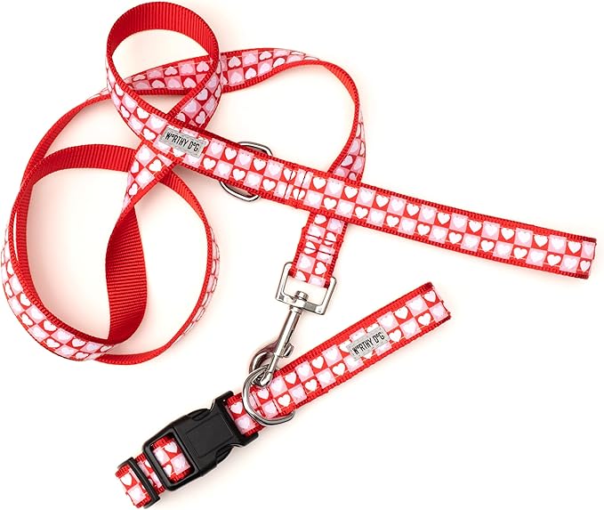 THE WORTHY DOG Adjustable Holiday Dog Collar for Large Dogs, Durable Nylon Webbing, Quick Release Buckle, Colorblock Hearts Valentine's Day Pattern, Pink & Red, Large