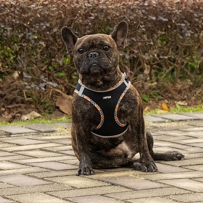 AMTOR Small Dog Harness with Leash Set, No Escape Easy Walk Puppy Harnesses for Training Walking, Step-in Reflective Soft Dogs Vest for XS S Medium Extra-Small Large Sized Dog(BlackYellow,XS)