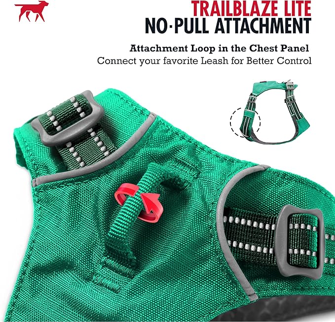 Tuff Pupper All-Day Wear Dog Harness | for Walking, Trail Running, Hiking | Front & Back Leash Clips | Reflective Trim | Easy On/Off Buckles | Lightweight Breathable | No Pull Design (XXXS, Teal)