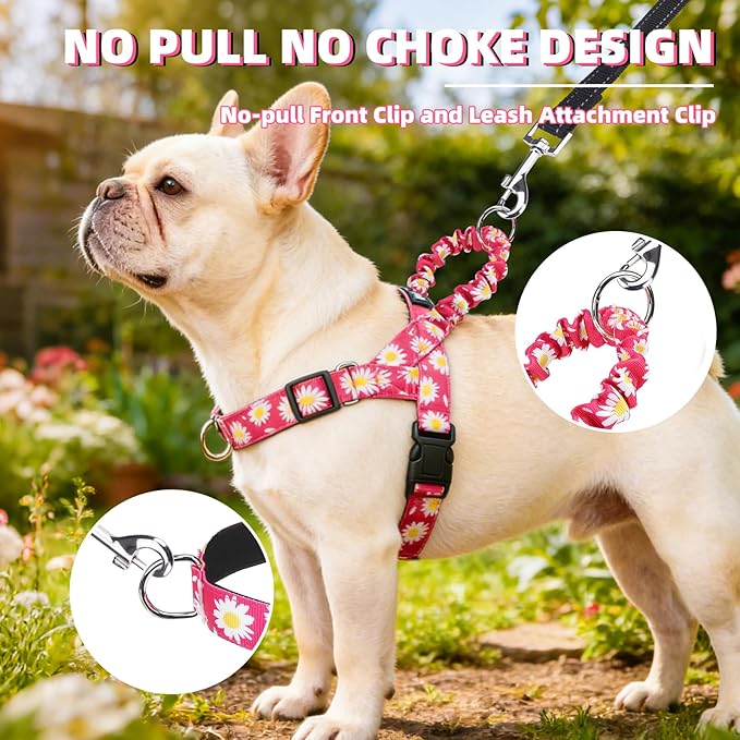 PUPTECK No Pull Dog Harness Small Sized Dog, Adjustable Reflective Pet Vest Harness with Bungee Handle, Escape Proof No Choke Harness for Small Dogs Walking Training, Fuschia Daisy M