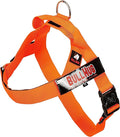 BULLHUG Adjustable Dog Harness– No Pull, No Choke – for English Bulldogs, French Bulldogs, Pugs & Broad-Chested Breeds – Easy, Safe Walks (NEON Orange, Medium)