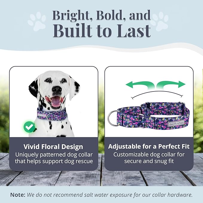 Lucky Love Dog Wide Martingale Dog Collar - No-Slip, Durable, & Soft Webbing 1.5 inch Martingale Collar for Dogs Male and Female Ideal for Training & Walking - Primrose, Medium