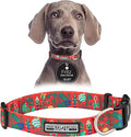 Lucky Love Dog - Adjustable Dog Collar with Easy Click Buckle for Medium, Durable, & Comfortable for Male & Female Dogs, Pet Collar for Puppies & Adult Dogs - Fritz, Medium