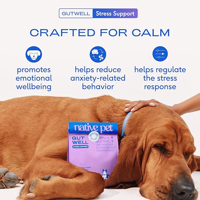 GutWell Stress Support - Dog Anxiety Relief & Calming Treats - Tasty Food Topper for Dog Stress and Anxiety Relief - Support Gut-Brain Axis with Triple-biotic Blend & Magnesium - 120 Scoops