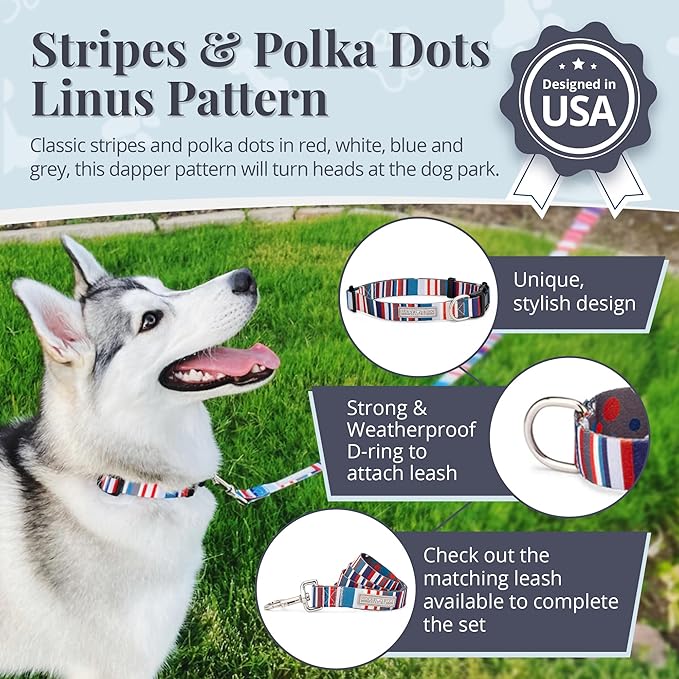Lucky Love Dog - Adjustable Dog Collar with Easy Click Buckle for Medium Dogs, Durable, & Comfortable for Male & Female Dogs, Pet Collar for Puppies & Adult Ones - Linus, Medium