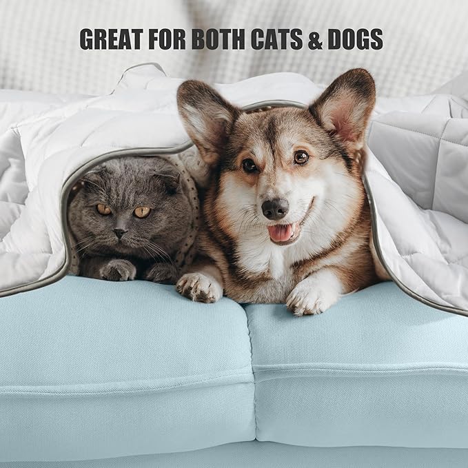 Leekalos Dog Cooling Mat,Pet Cooling Pads for Dogs Blanket,Summer Cooling Bed for Cats Blanket,Portable Pet Cooling Cushion for Home & Outdoor，Keep Cooling for Pets (Cool Grey, Large(40"x60"))