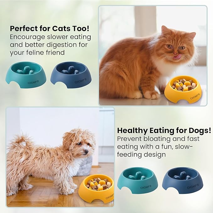 CHOMP'R Slow Feeder Dog Bowl for Small Breeds, Food Grade Interactive Puzzle Feeder, Non Slip Bowl to Slow Down Eating, Anti-Choking Mini Maze for Small Dogs Cats Puppies, Blue