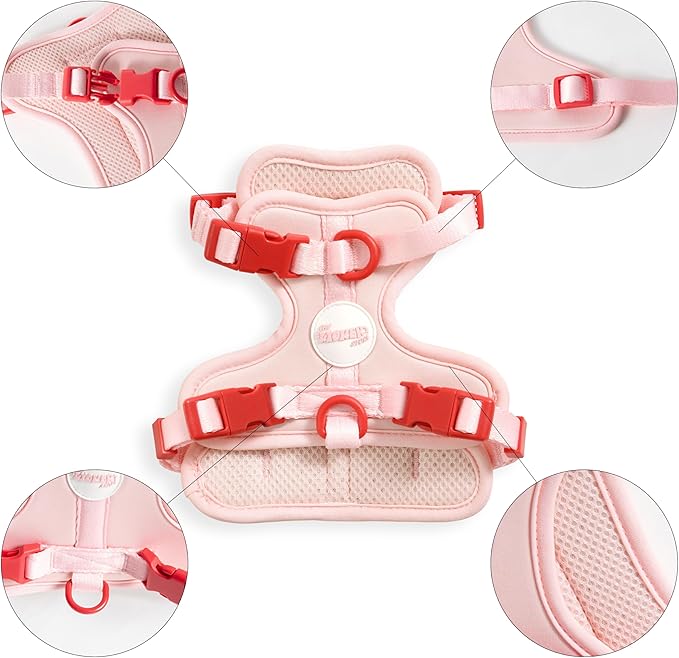 HNS1000G Arlo Extra Small Adjustable Soft Padded No Pull Pet Harness with 3 Buckles and 3 Leash Clips, Paloma
