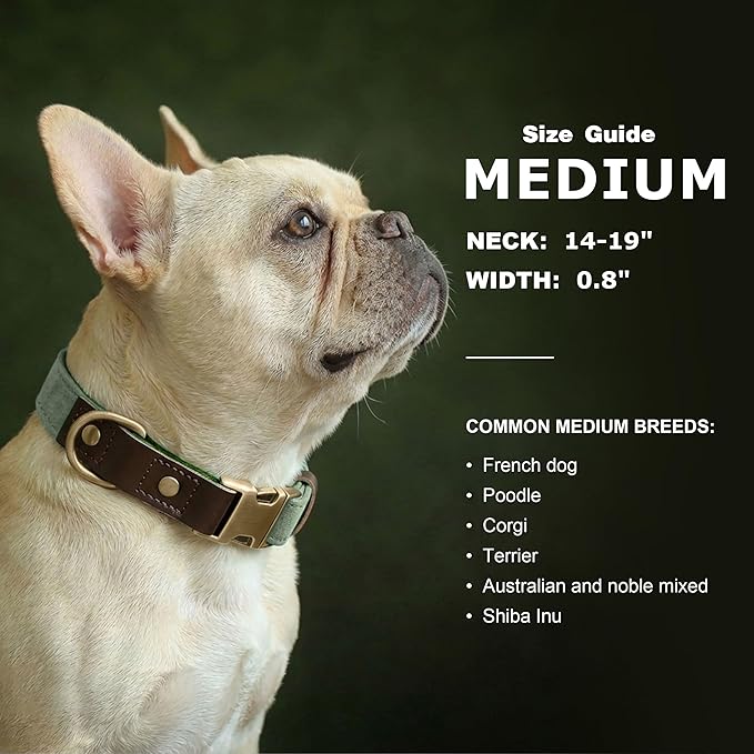 Didog Soft PU Leather Dog Collars for Medium Dogs,Classic Adjustable Dog Collars with Quick Release Metal Buckle,Easy Clean and Comfortable with Nylon Lining,Green,M Neck 14-19"