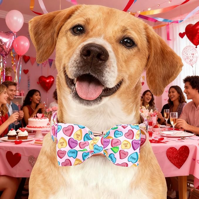 Lionheart glory Dog Bow Collar - Valentine's Day Dog Collar with Bowtie Adjustable Sturdy Heart Collars for X-Small Dogs Puppy Spring Holiday Cute Collars