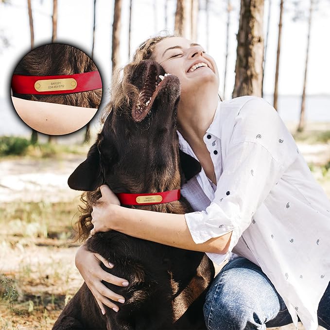 Regal Dog Products Large Red with Custom Engraved Waterproof Dog Collar and Leash Set | Waterproof Dog Collar with Double Buckle & D Ring - 5'ft Leash | Matching Dog Collar and Leash for Dogs