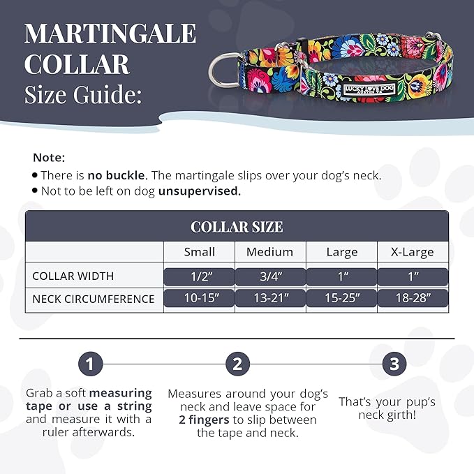 Lucky Love Dog Martingale Dog Collar & Leash - Adjustable, No-Slip, Durable, Comfortable, Soft Webbing, & Stylish Patterned Collar & Leash Set for Male and Female Dogs - Blackbird Combo, Medium