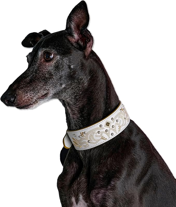 Blueberry Pet Western Dog Collar in Pearl White - Genuine Leather Dog Collars for Medium Dogs & Large Dogs with Floral Embroidery, Adjustable 18-22 Inch, Cowboy Style, Pearl Studs