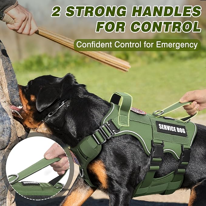 Service Dog in Training Vest and Leash Set with 10 Patches,Heavy Duty Tactical Dog Harness with Metal Buckles for Medium Sized Dogs,No Pull Easy Walking for Training Working Hiking,Green M