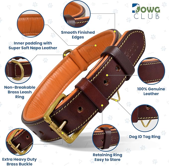 Leather Dog Collar for Medium Dogs, Brown, 1 Inch Wide, Genuine Full Grain Leather, Heavy Duty with Soft Inner Padding, Comfortable and Durable (Medium (Fit Neck Size 14.5"-18.5"), Brown)