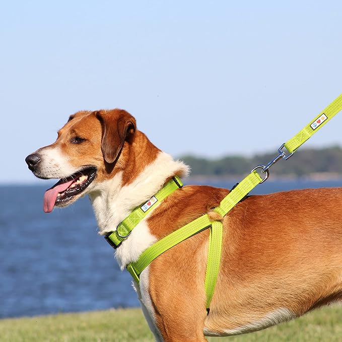 Pawtitas Reflective Step-in Dog Harness – Adjustable No-Pull Vest for Puppies to Seniors, Safe & Comfortable, XS Pink