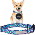 Lucky Love Dog - Adjustable Dog Collar with Easy Click Buckle for Small Dogs, Durable, & Comfortable for Male & Female Dogs, Pet Collar for Puppies & Adult Ones - Jasper, Small