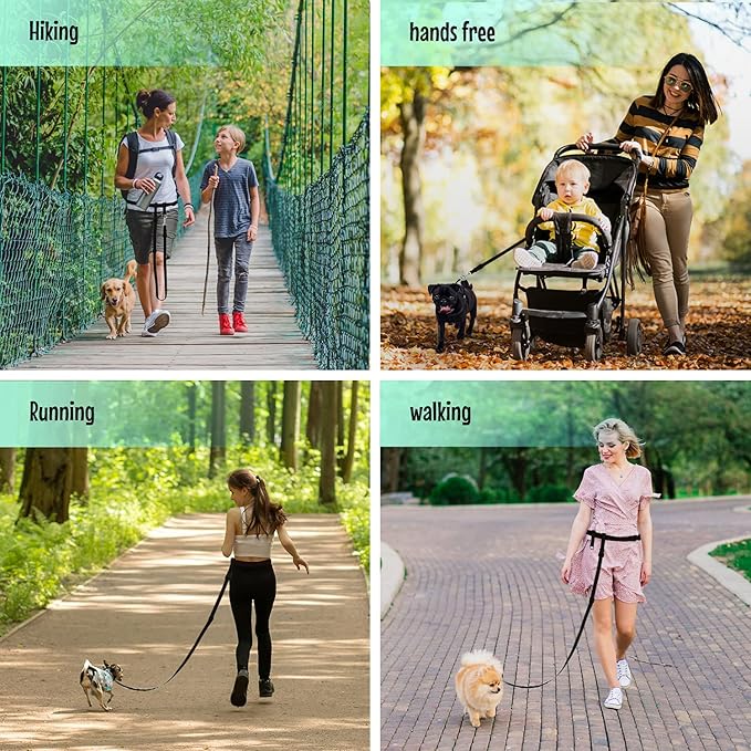 The Buddy System Hands Free Dog Leash, Adjustable Leash for Running, Jogging, Training and Service Dogs, Great for Small, Medium and Large Dogs, Made in USA (Black, Small Dog System (Large Belt))