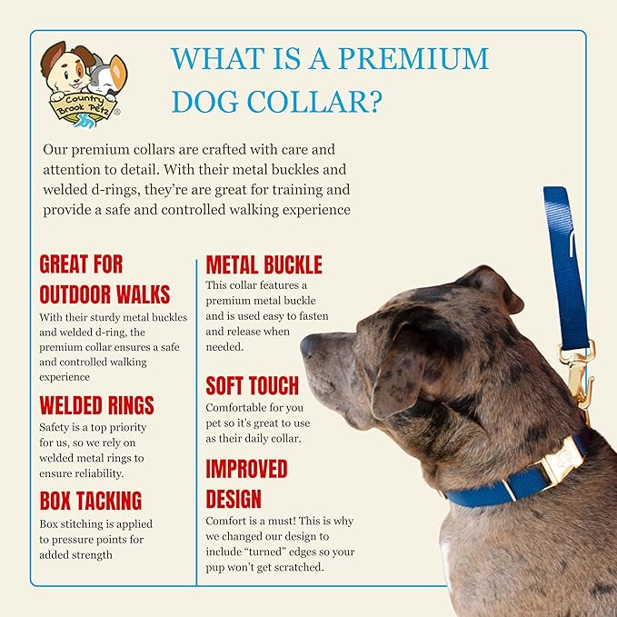 Country Brook Petz - Premium Nylon Dog Collar with Metal Buckle for Small Medium Large Breeds - 10+ Cool Colors (Small, 3/4 Inch, Navy Blue)