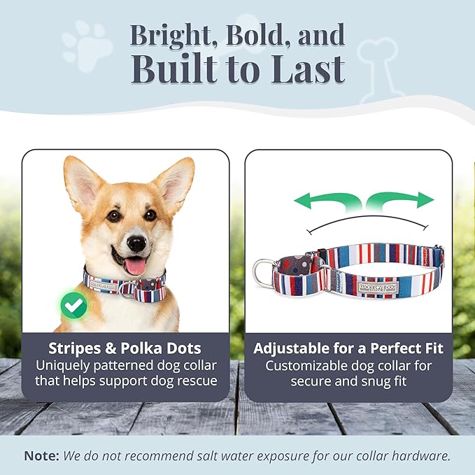Lucky Love Dog Martingale Dog Collar & Leash - Adjustable, No-Slip, Durable, Comfortable, Soft Webbing, & Stylish Patterned Dog Collar & Leash Set for Male and Female Dogs - Linus Combo, Small