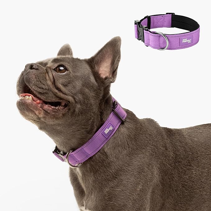 DF Co. Tactical Dog Collar | Comfortable & Secure with Quick Release Clip Buckle and Heavy Duty D-Ring | Soft Padded Neoprene, Chafe Resistant, Night-Time Visibility | Purple, Size S