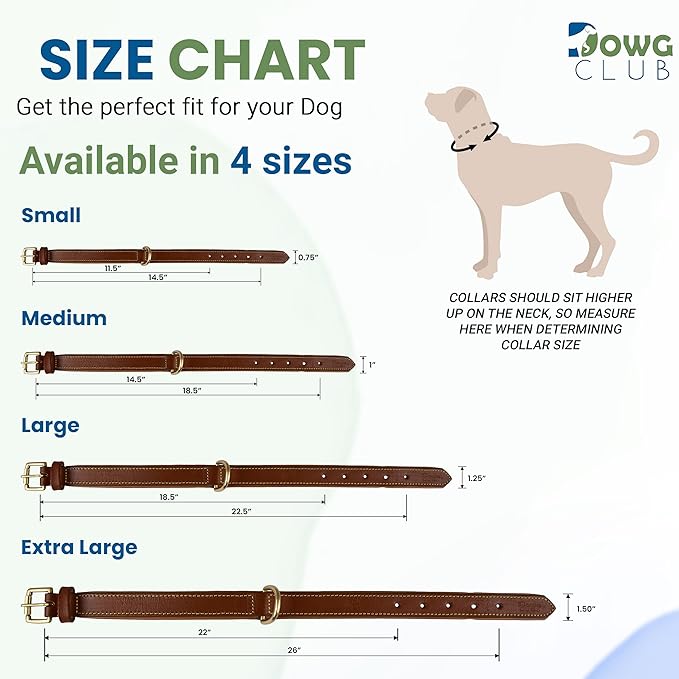 Leather Dog Collar for Medium Dogs, Tan, 1 Inch Wide, Genuine Full Grain Leather, Heavy Duty with Soft Inner Padding, Comfortable and Durable (Medium (Fit Neck Size 14.5"-18.5"), Tan)