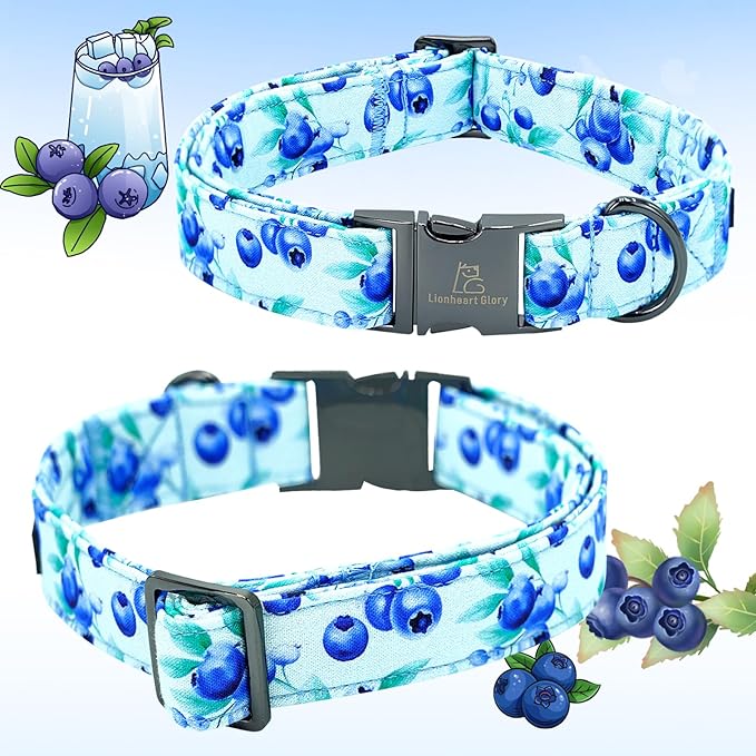 Lionheart glory Dog Collar with Flower Blueberries Print Collars for Small Dogs, Spring Summer Cute Duty Adjustable Dog Flowers Collar Puppy Collars Bows Pet Gift