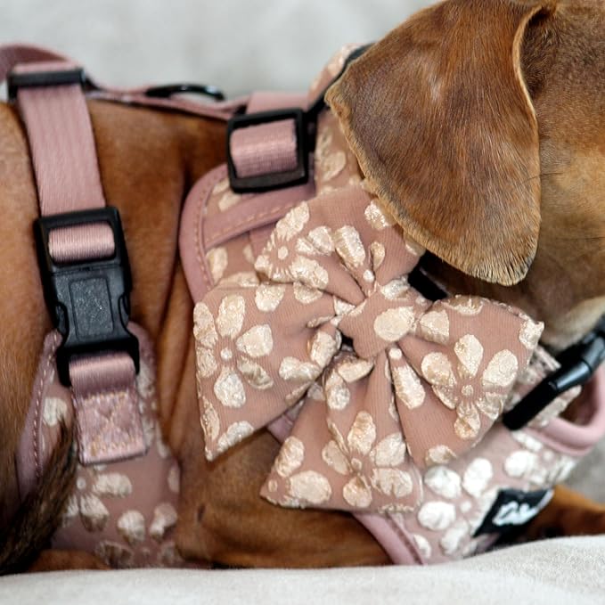 Large Dog Collar and Harness Set – No Pull, All-Weather, Breathable Harness & Leash Set with Collar, Bandana, Sailor Bow & Poop Bag Holder – Adjustable & Soft - Cocoa Bloom on Jacquard Fabric