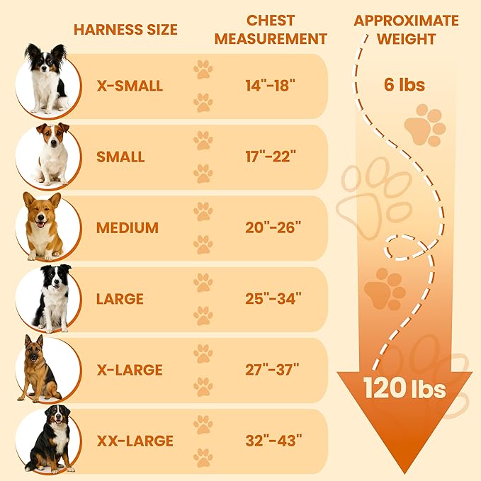 Bark Appeal Black No-Pull Dog Harness for Small to Medium Sized Pets – Adjustable, Reflective Vest with 3 Leash Clips for Added Control, Easy Walks & Training – Medium