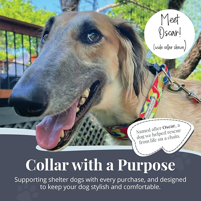 Lucky Love Dog Wide Dog Collar - Adjustable, Durable, Soft Webbing, & Comfortable 1.5 inch Wide Collar for Dogs Male and Female with Strong Buckle - Oscar, Medium