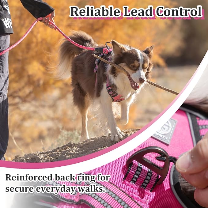 Dog Harness No Pull, 2 Leash Clips, Reflective Mesh Vest with Padded Chest, Adjustable Breathable Pet Harness for Medium Large Dogs (L, Hot Pink)