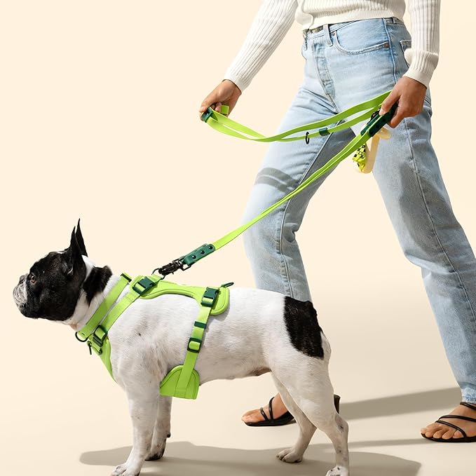 HNS1003B Arlo Large Adjustable Soft Padded No Pull Pet Harness with 3 Buckles and 3 Leash Clips, Mojito
