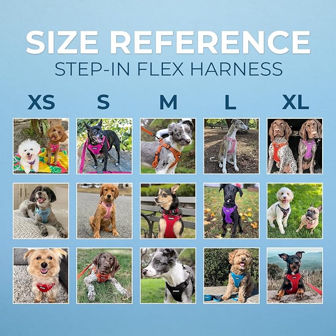 Best Pet Supplies Voyager Adjustable Step-in Flex Breathable Mesh Dog Harness for Small Medium Large Dogs Leash Set (Orange), XS