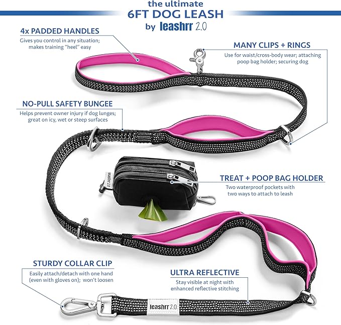 No Pull Dog Leash for Large Dogs – 6ft Highly Reflective Bungee, Heavy Duty Leash for Large Dogs, 4 Padded Handles, Strong Carabiner Clip & Rings, Includes Poop Bag Holder & Treat Pouch (Orange)