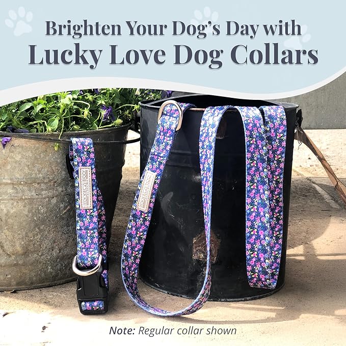 Lucky Love Dog Wide Martingale Dog Collar - No-Slip, Durable, & Soft Webbing 1.5 inch Martingale Collar for Dogs Male and Female Ideal for Training & Walking - Primrose, Large