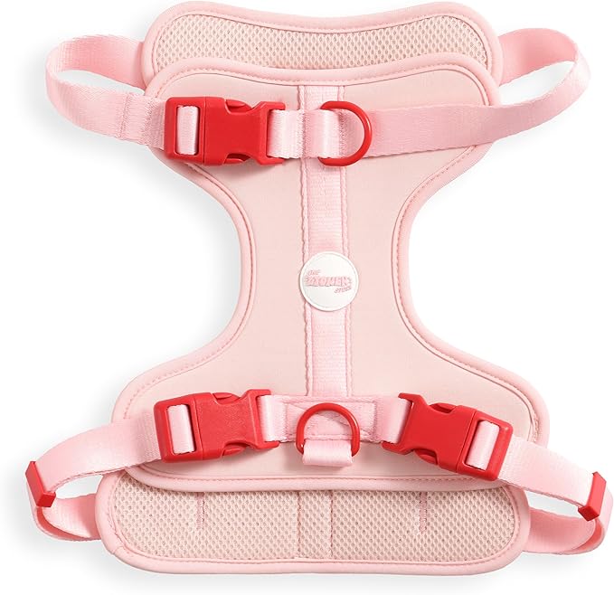 HNS1003G Arlo Large Adjustable Soft Padded No Pull Pet Harness with 3 Buckles and 3 Leash Clips, Paloma