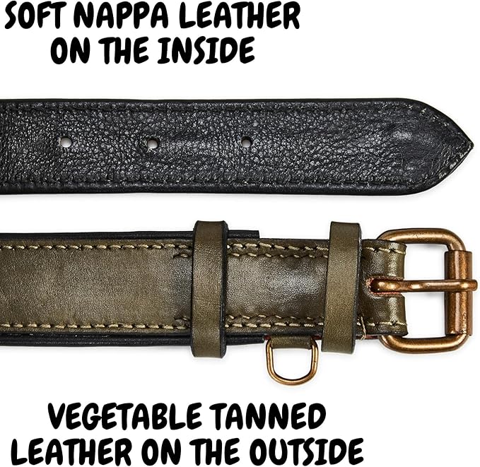 Real Leather Dog Collar Padded Soft Interiors with Premium Vintage Look Handcrafted Heavy Duty with Tag Ring for Small Medium and Large Pets (Medium (1.25" Wide for 13.5" - 17.5" Neck), Olive)