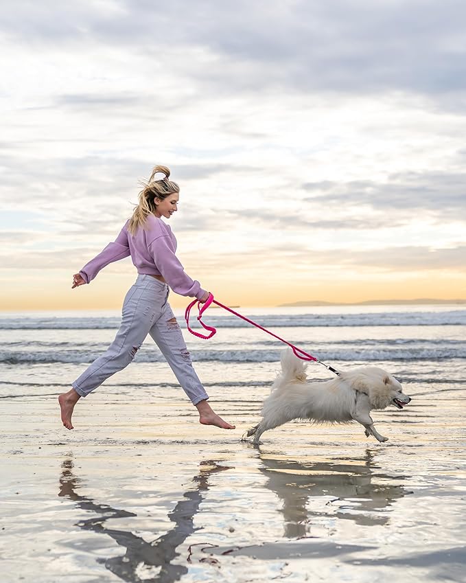 Shed Defender Shock Absorbing Bungee Leash - Three Padded Traffic Handles, Designed in The USA, Stretches 4-7ft, Elastic Dog Leash, Reflective Stitching, Large Dog & Small Breed, Heavy Duty, Pink