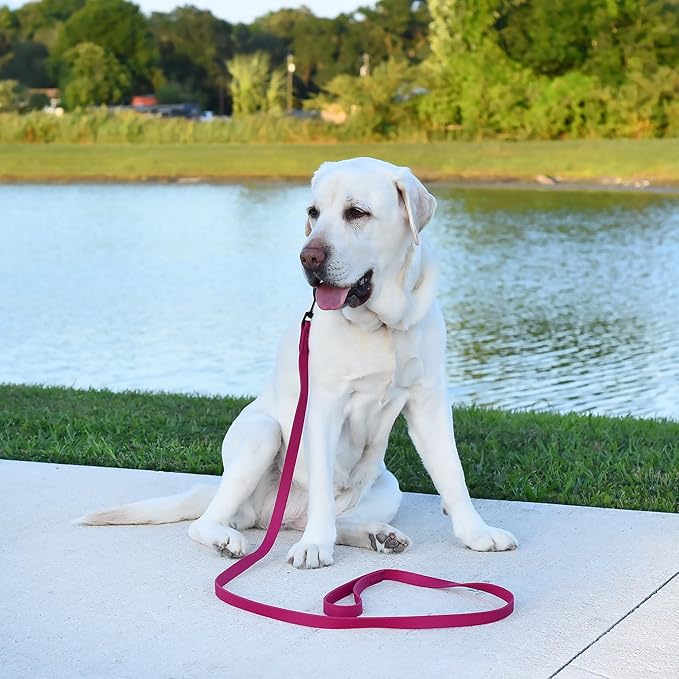 Dogline Biothane Waterproof Dog Leash Strong Coated Nylon Webbing with Black Hardware Odor-Proof Easy to Clean High Performance for Small or Large Dogs Made in USA 2 ft Lead, Magenta Pink