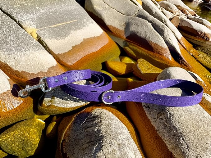 6ft Long Leash for Dogs - 1000lb Strength, Waterproof with Stainless Steel Hardware, Durable Long Dog Leash for Large Breeds