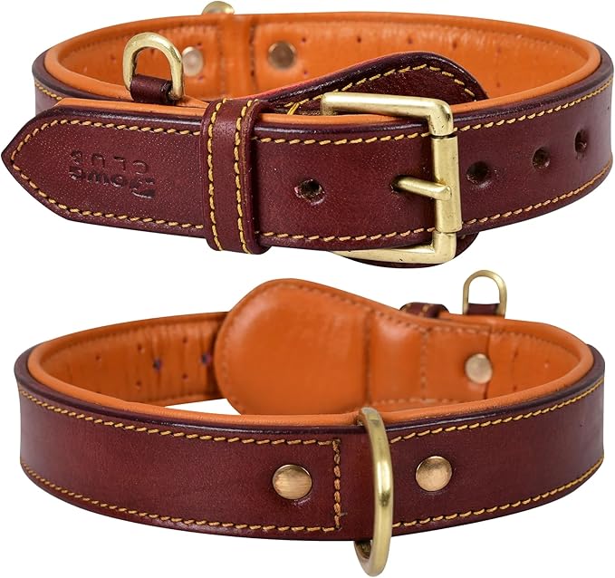 Genuine Leather Dog Collar – Full Grain, Breathable Inner Padding, Padded Buckle – Heavy Duty, Adjustable for Small, Medium, Large & XL Breeds | (Dark Brown, L (Fit Neck Size 18.5"-22.5"))