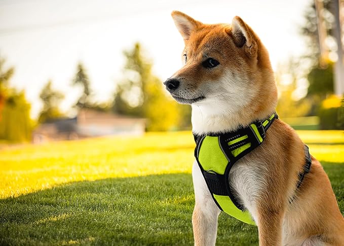 Ziggy Pet Dog Harness Adjustable Nylon Mesh Vest with Leash Clips (Green, Medium)