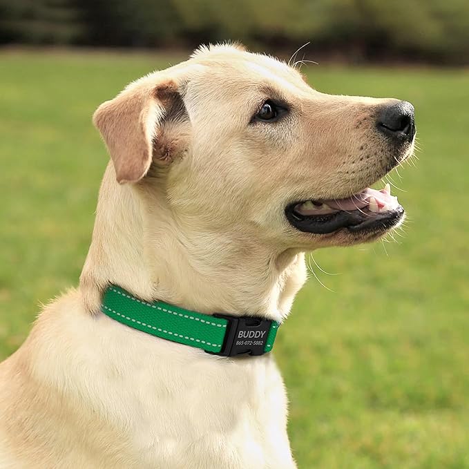 Personalized Dog Collar with Engraved Metal Buckle Reflective Cotton Custom Collar for Dogs Puppy with Name and Phone Number 8 Colors, 4 Sizes (Green, L, 15"-19")