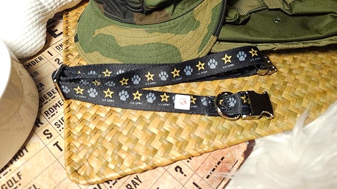 United States Army Logo with Paws Pet Collar (Medium)