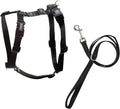 Blue-9 Pet Products No-Pull Balance Harness and Loose Leash Walking Set Dogs, Made in The USA, Black, Medium/Large