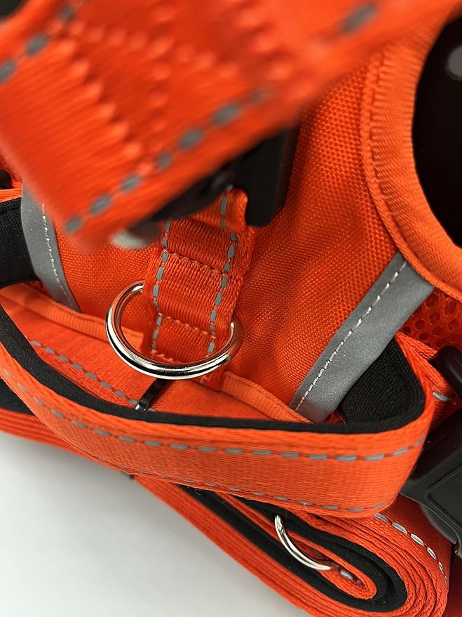 Clickette™ Magnetic Locking Harness and Leash (Orange, Extra Small)
