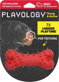 Playology Dog Toys | Puppy Toy Teething Bone Designed for Young & Active Dogs | Small Beef Scented Toy Made from Non Toxic Materials