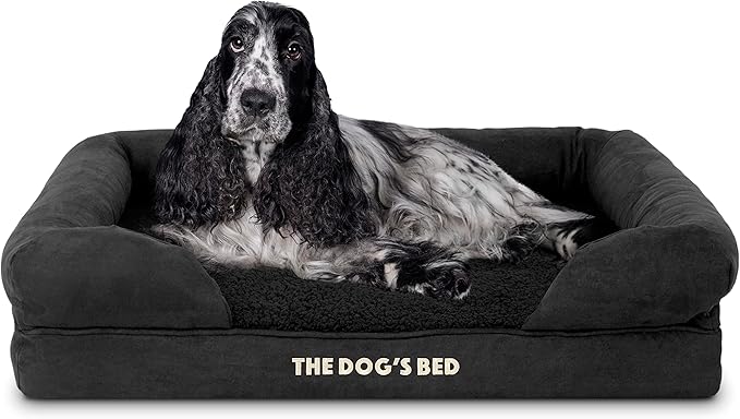 The Dog’s Bed Orthopedic Memory Foam Dog Bed with Bolsters, Plush Fabric, Black Plush, Medium